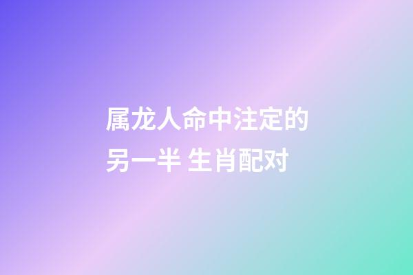 属龙人命中注定的另一半 生肖配对